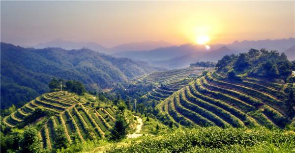 华欣泰咨询：潮州市某国际茶都项目可行性研究报告