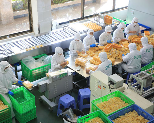 华欣泰咨询：某食品有限责任公司食品加工厂建设项目可行性研究报告
