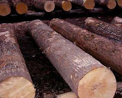 德国橡木原木项目建议书